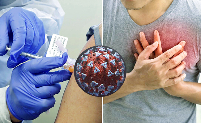 coronavirus.jpg