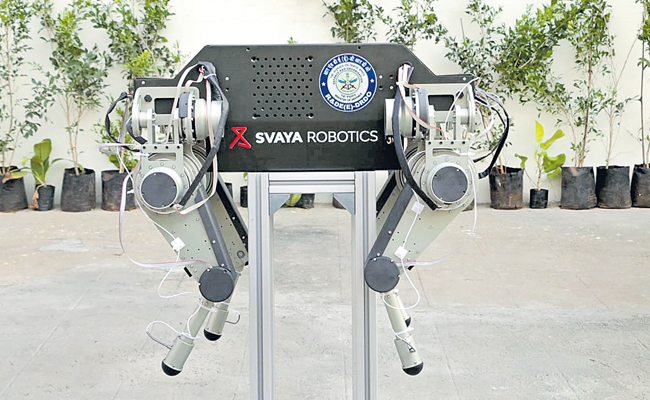 r2.jpg