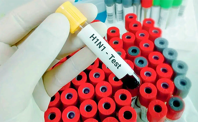 H3N2.jpg