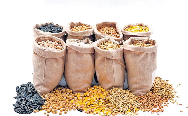 grains.jpg