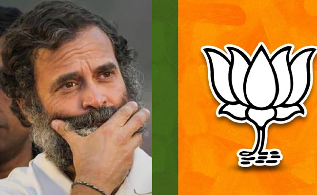 BJP_Rahul_Gandhi_Speech.jpg