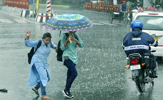 Rain.jpg