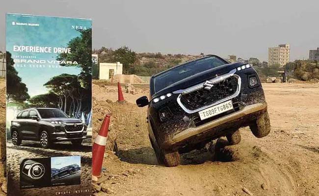 maruti_20suzuki.jpg