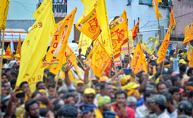 TDP_3.jpg