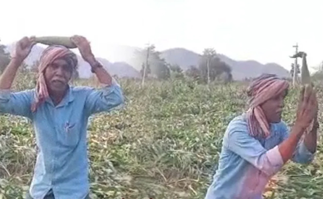 Farmer_Viral_Song.jpg