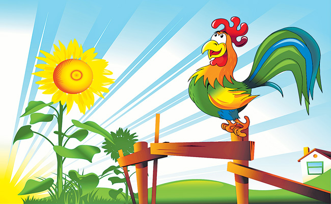 iStock-155002574-cock.jpg