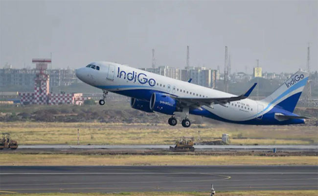 indigo.jpg