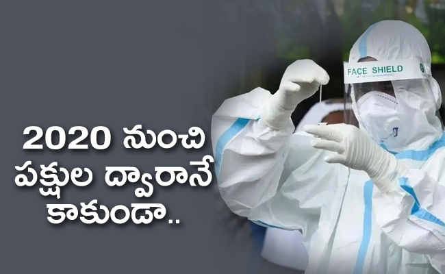 virus_650x400.jpg