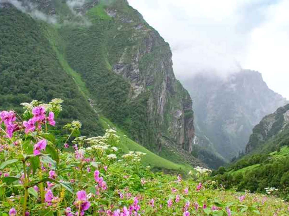 001_20VALLEY_20OF_20FLOWERS_2C_20UTTARAKHAND.jpg 2