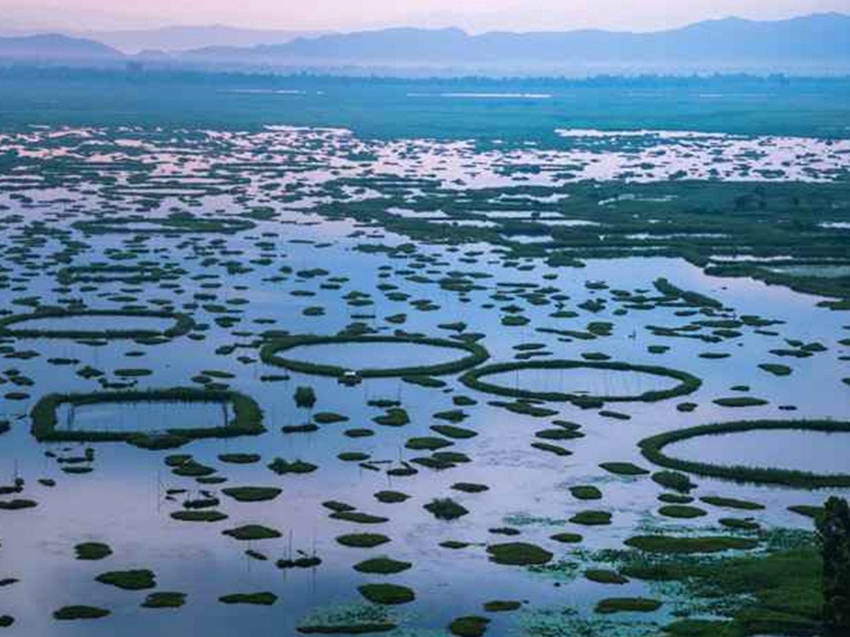 002_20LOKTAK_20LAKE_2C_20MANIPUR.jpg 3
