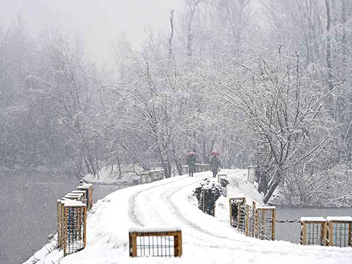 005_20Snow_20Valley_2C_20Kashmir.jpg 6