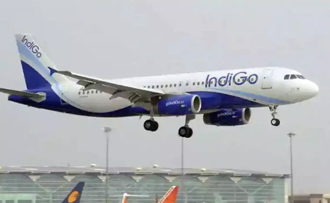 indigo.jpg