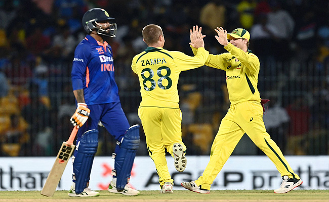 jadeja.jpg