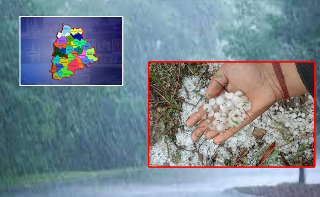 rain-alert-ts.jpg