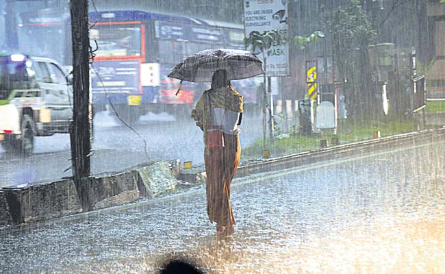 rain.jpg