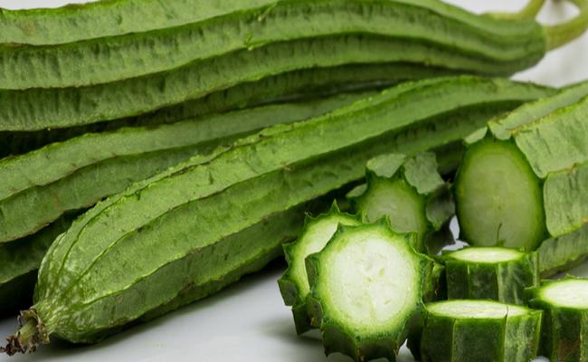 Ridge-Gourd.jpg