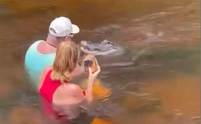 croc.jpg