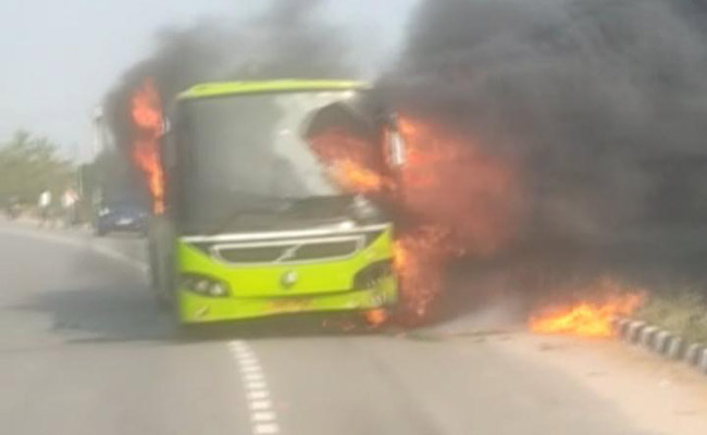 BUS.jpg