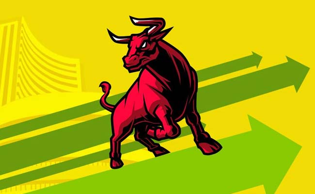 bull_20run.jpg