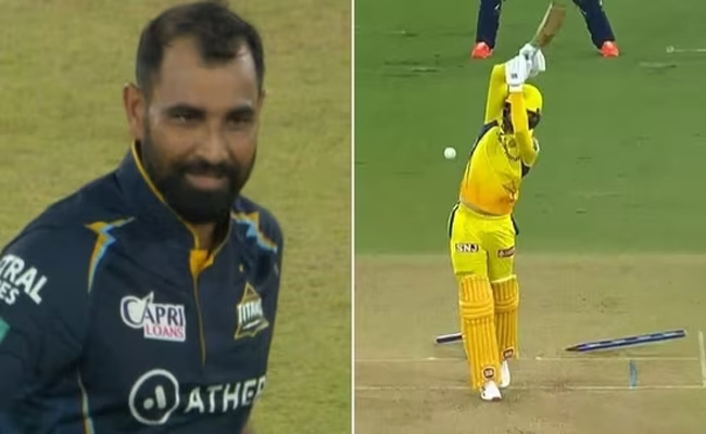 shami.jpg
