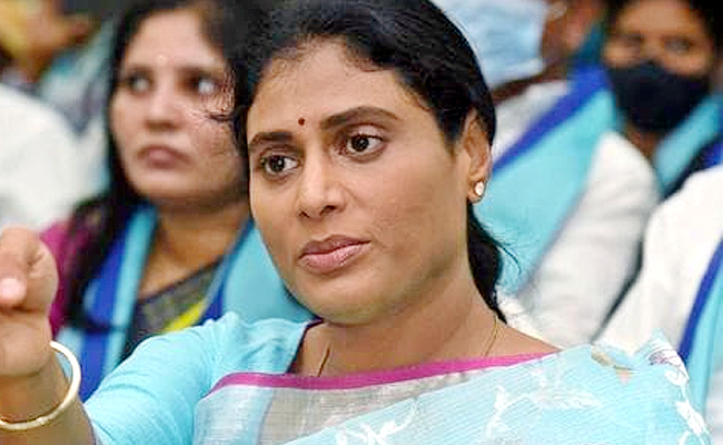 YS_20Sharmila_001.jpg