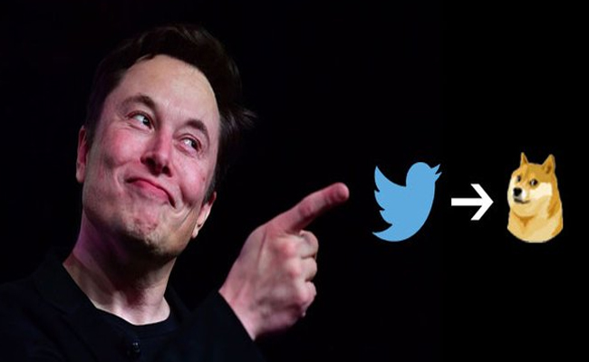 musk_20twitter_20logi.jpg