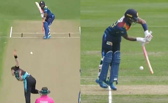 nzvsl.jpg