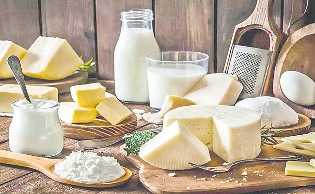 MILK-PRODUCTS.jpg