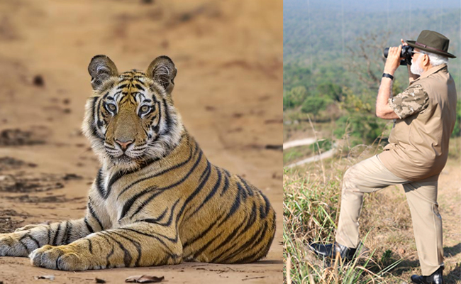Modi_20And_20Tiger_01.jpg