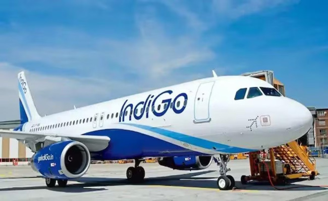 indigo.jpg