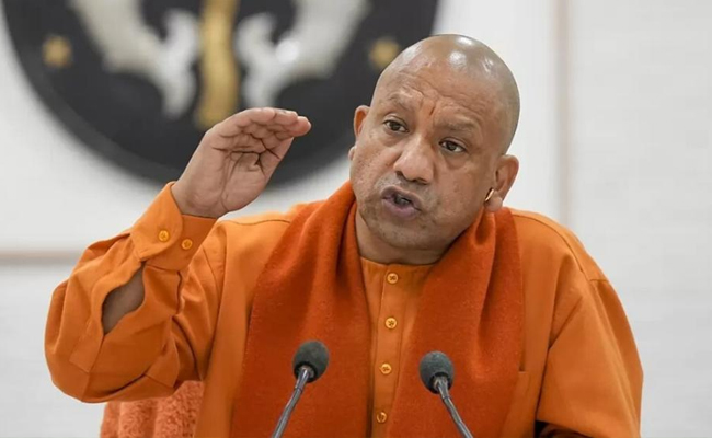 yogi.jpg