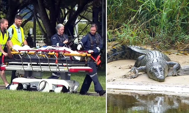 crocodile.jpg