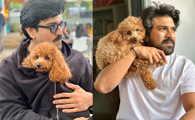 Ramcharan-dog1.jpg