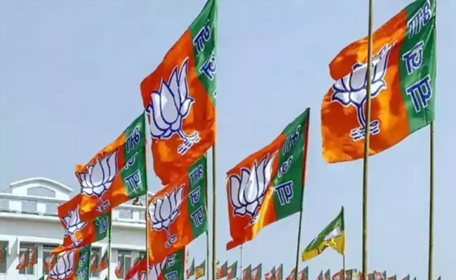bjp-flags.jpg
