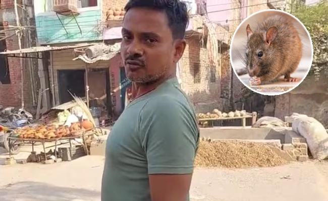 Killing_20Rat_20Up_01.jpg
