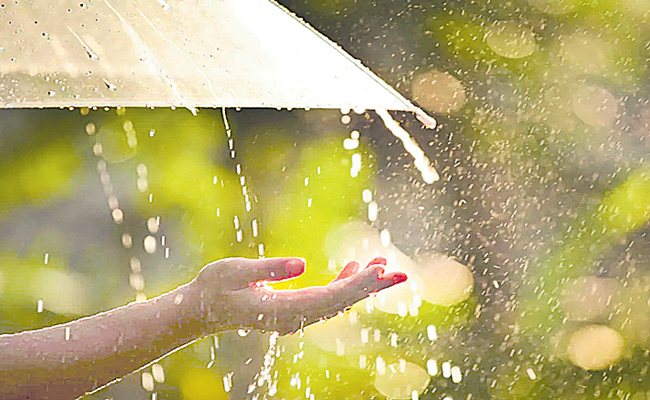 RAINFALL.jpg