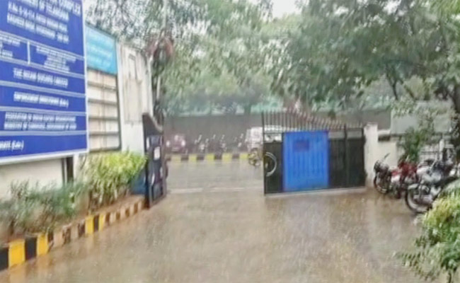 Rain3.jpg