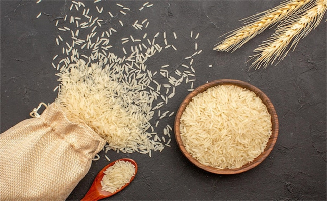 rice_20plant.jpg