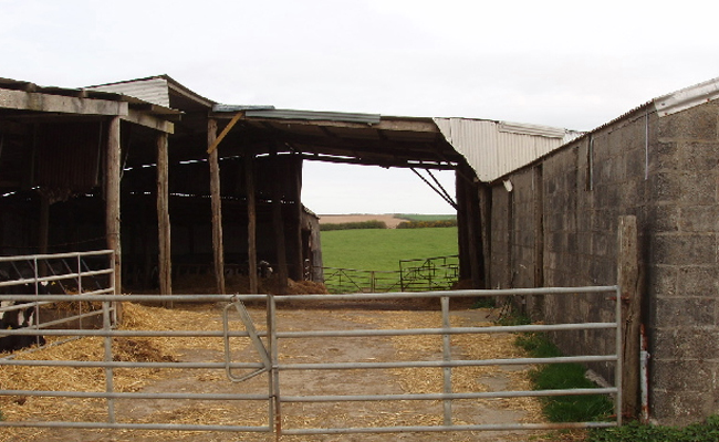 cattle-shed.jpg