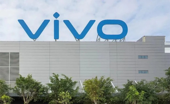 vivo.jpg