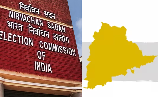Telangana_Assembly_Election.jpg
