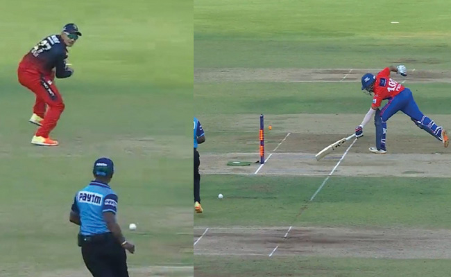 ipl.jpg