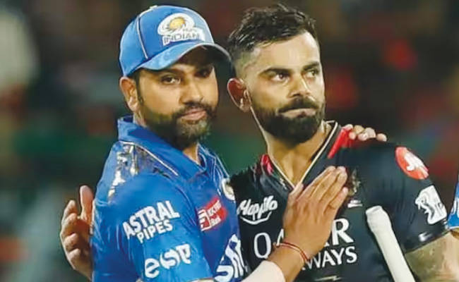 ipl.jpg