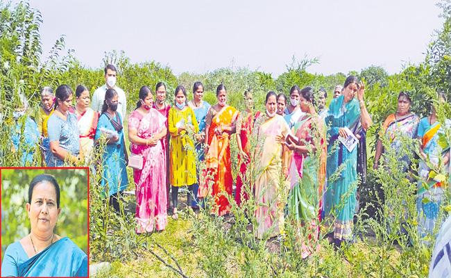 Bhanuja-1.jpg