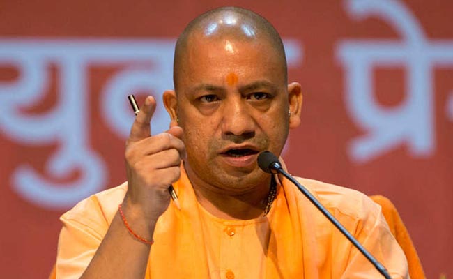 yogi2.jpg