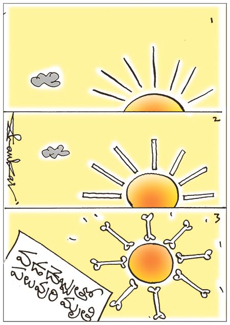 Sunstroke-Deaths-Rises.jpg
