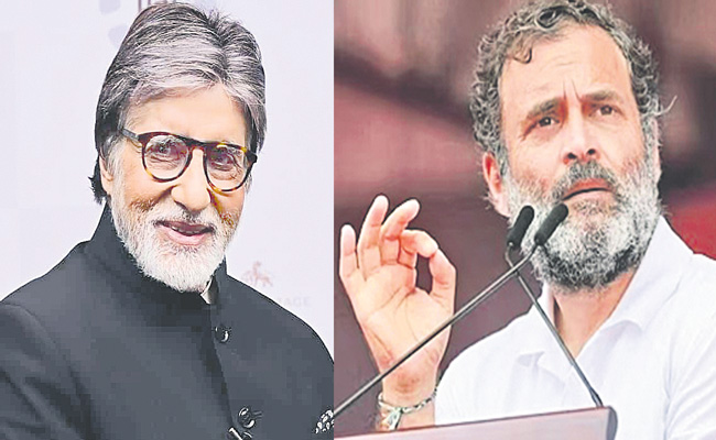 amitab_2C-rahul_3B.jpg