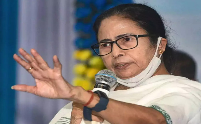 mamatha-benarjee.jpg