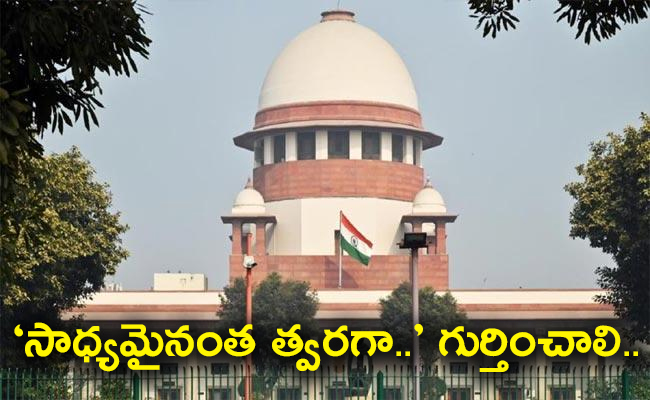 Supreme_20Court_01.jpg