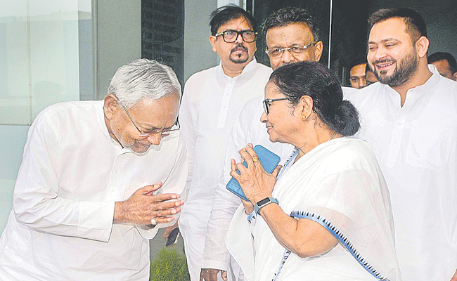 MAMATA-5.jpg